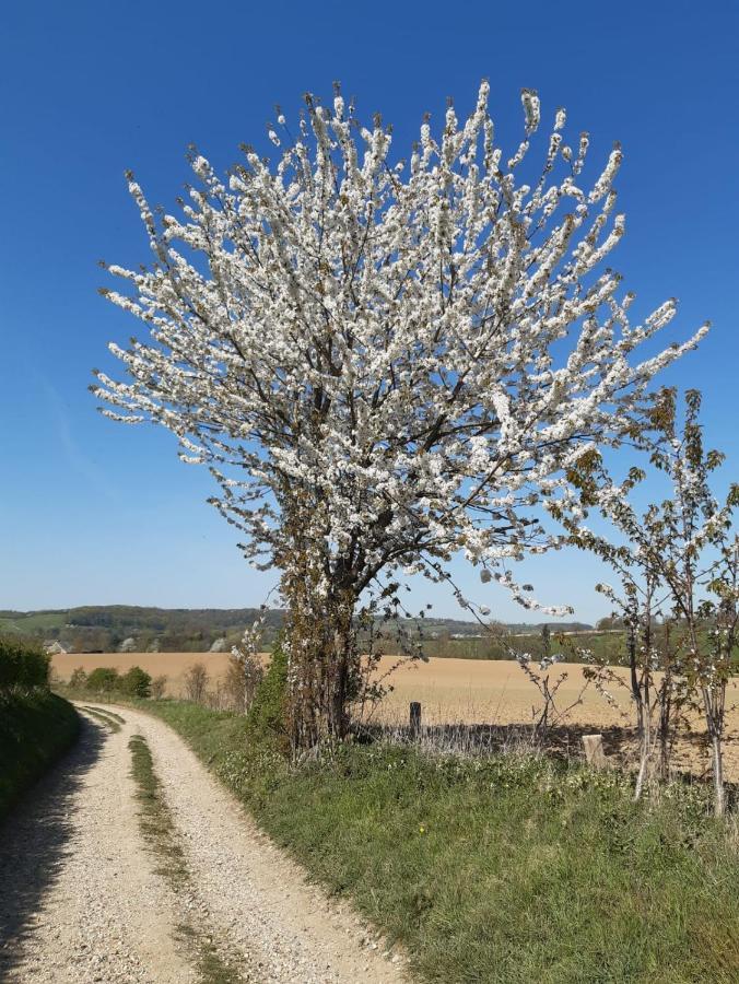 Casa Della Nonna Bungalow 2 Simpelveld Dış mekan fotoğraf